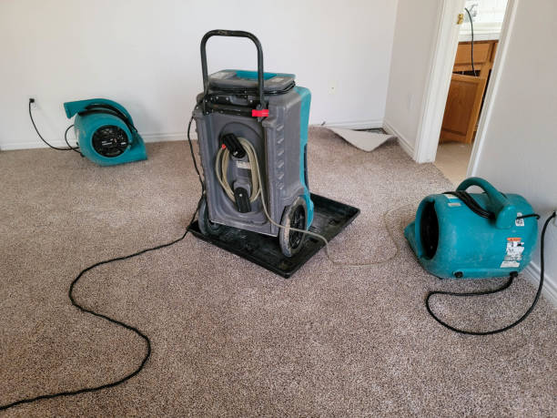 Best Local water damage restoration  in Nashville, GA