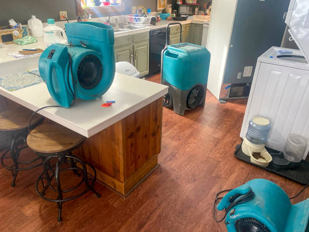 Best Basement water damage restoration  in Nashville, GA