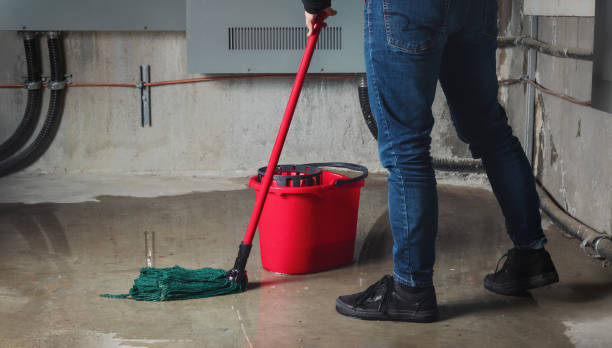 Best Fire Damage Restoration  in Nashville, GA
