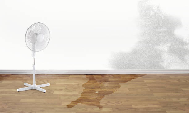 Best Carpet water damage restoration  in Nashville, GA