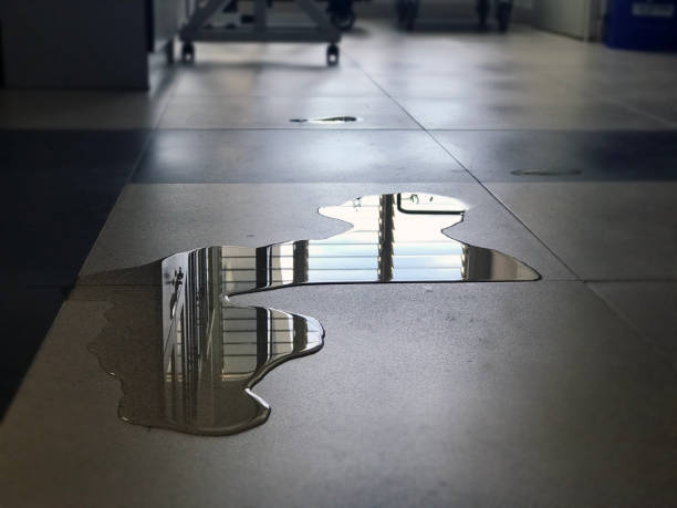 Best Water damage restoration insurance claims  in Nashville, GA