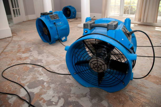 Best Professional water damage repair  in Nashville, GA