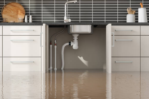 Best Flood damage cleanup  in Nashville, GA