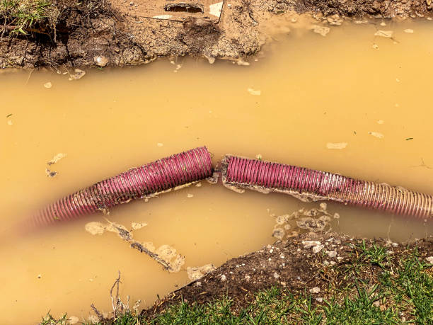  Nashville, GA Water damage restoration Pros