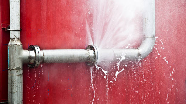 Best Flooded house restoration  in Nashville, GA